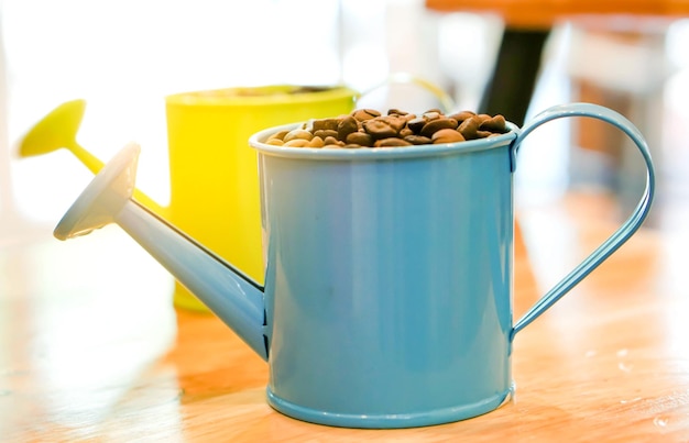 Feijão de café em uma pequena decoração colorida com fundo de luz solar