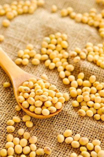 Feijão de soja na colher com espaço de cópia. Close-up soybean. Feijão seco na colher de pau