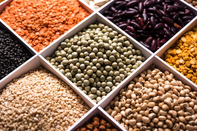 Feijão indiano, leguminosas, lentilhas, grãos de arroz e trigo em caixa de madeira branca com células, foco seletivo.