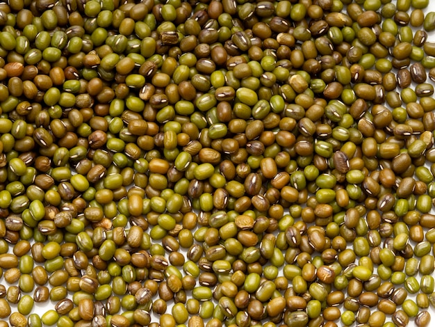 Feijão verde ou fundo de feijão mungo