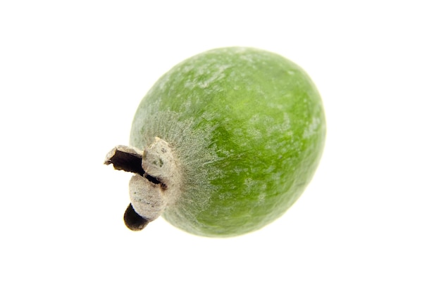 Feijoa acca fruta o piña guayaba aislado sobre fondo blanco.