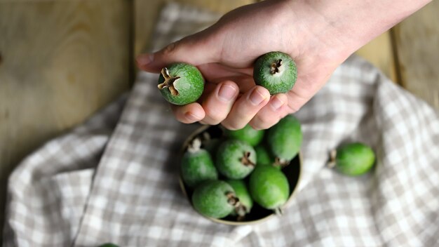 Feijoa fresca na mão