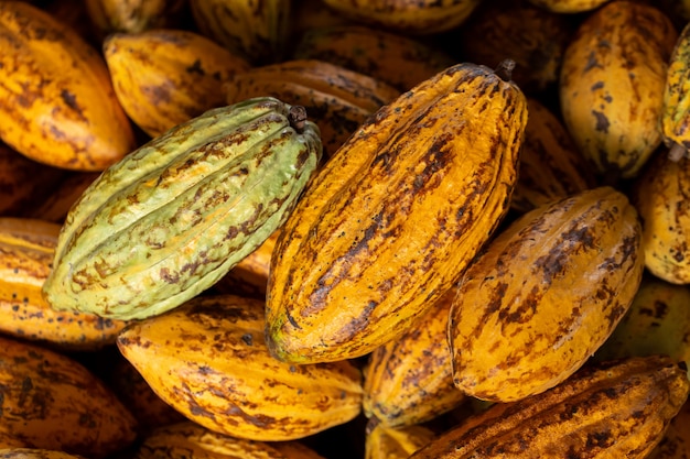 Feijões de cacau e vagem de cacau em uma superfície de madeira.