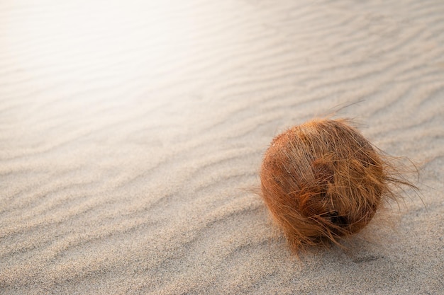 Feiner Strandsand im Sommersonnenmusterhintergrund mit Cocos