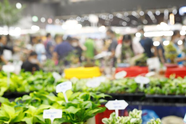 Feira de venda de árvores em um shopping para pessoas que vivem em áreas urbanas