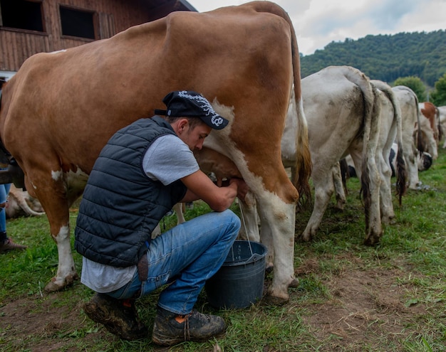 Feira Pecuária a maior feira de gado nos vales de Bérgamo