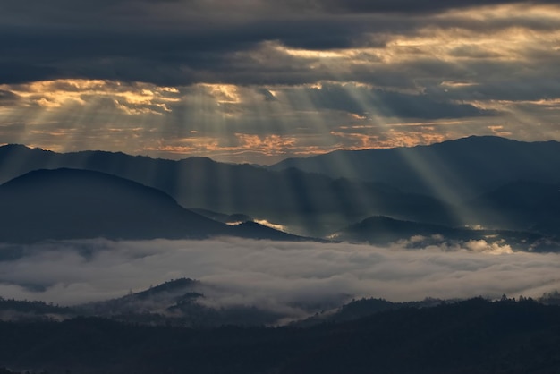 Feixes de luz sobre o mar de neblina em um vale da floresta na hora do nascer do sol