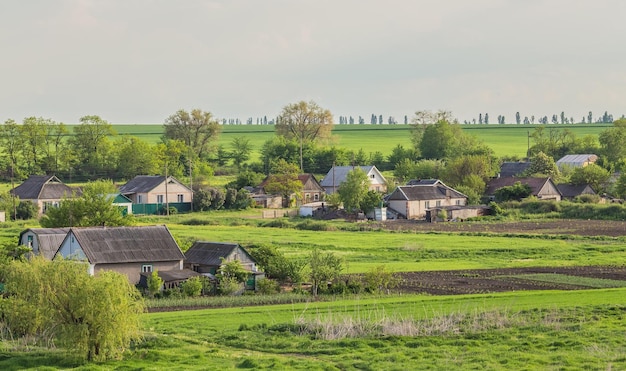 Feld auf einem Hintergrund des Himmels