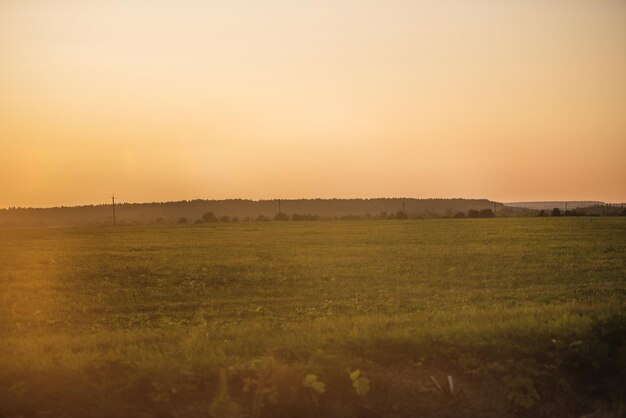 Feld bei Sonnenuntergang mit goldenem Gras sonnig