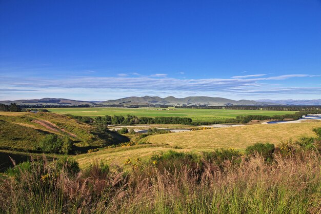 Feld der Südinsel, Neuseeland