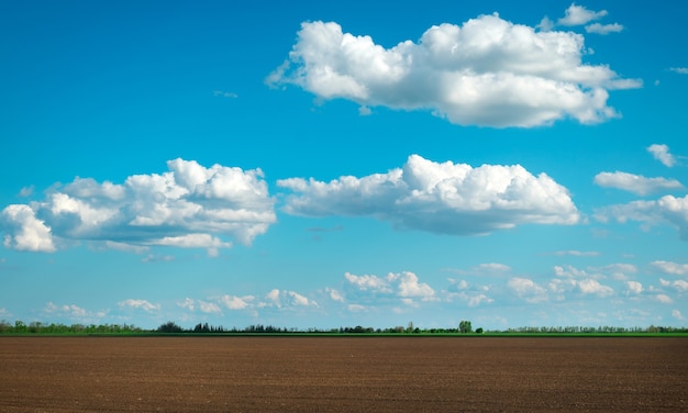 Feld für die Bepflanzung vorbereiten. Gepflügter Boden im Frühling und blauer bewölkter Himmel.