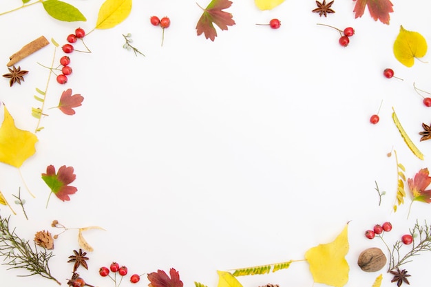 Feld gemacht vom herbstlichen Blatt auf weißem backgrounde