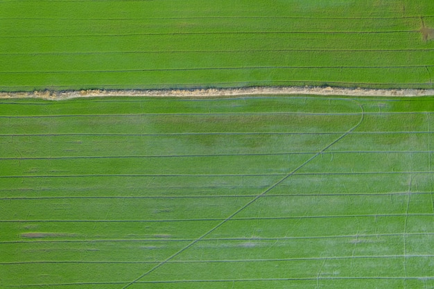 Feld Hintergrund Draufsicht Landschaft Natur