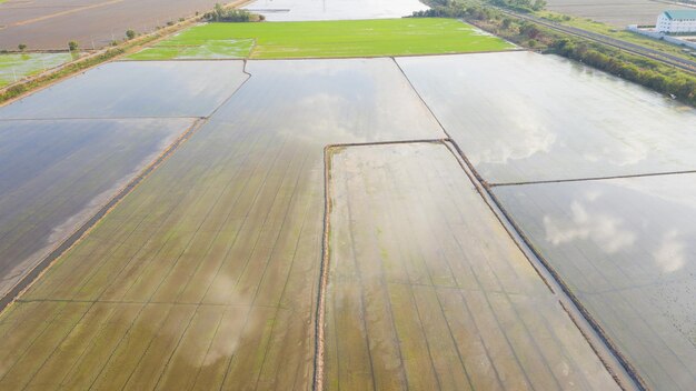 Feld Hintergrund Draufsicht Landschaft Natur