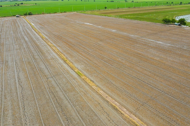 Feld Hintergrund Draufsicht Landschaft Natur