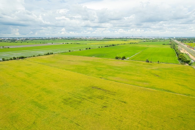 Feld Hintergrund Draufsicht Landschaft Natur