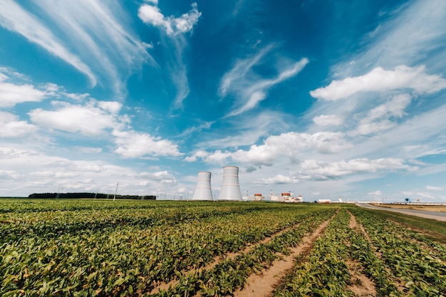 Feld in der Nähe des Kernkraftwerks im Bezirk Ostrovetsky