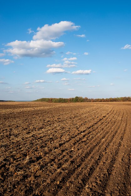 Feld mit gepflanztem Frühlingsland, vertikales Foto