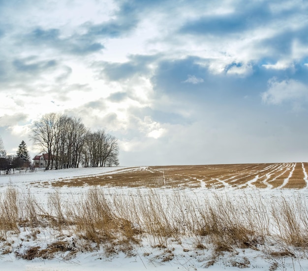 Feld mit Stoppeln im Winter und ein Haus und Bäume und schöner Himmel am Horizont