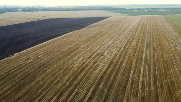 Feld nach der Ernte in der Abenddämmerung. Kamera geht hoch. Himmelswolken.