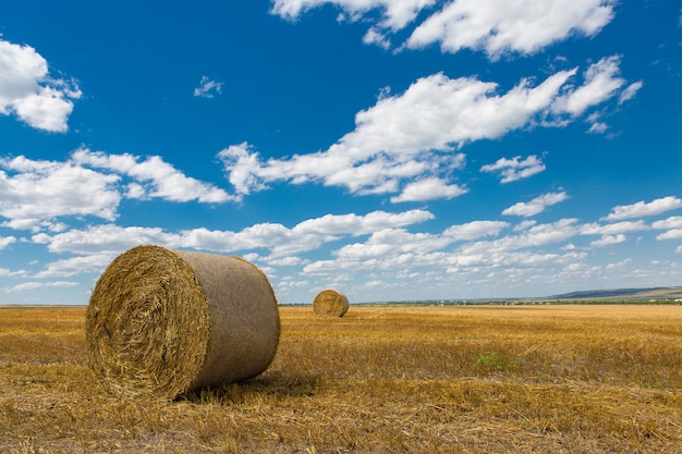 Feld nach der Ernte mit großen Rundballen Stroh