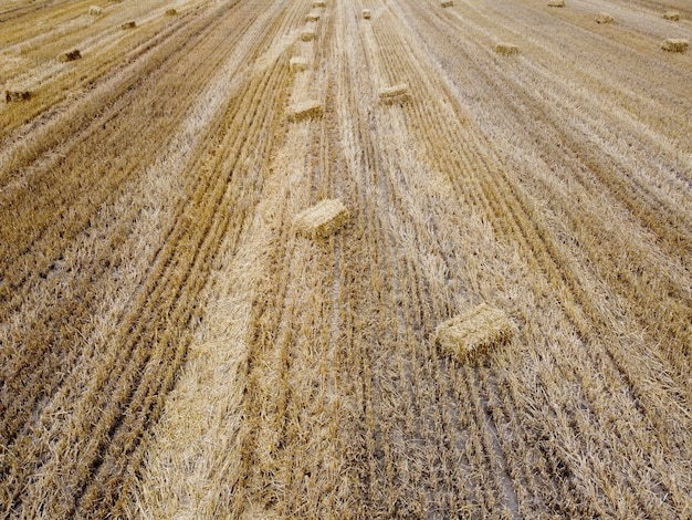 Feld nach der Ernte Strohballen liegen auf dem Feld