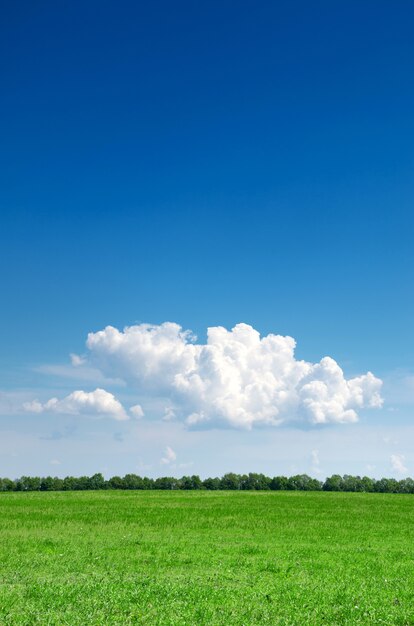 Feld und blauer Himmel