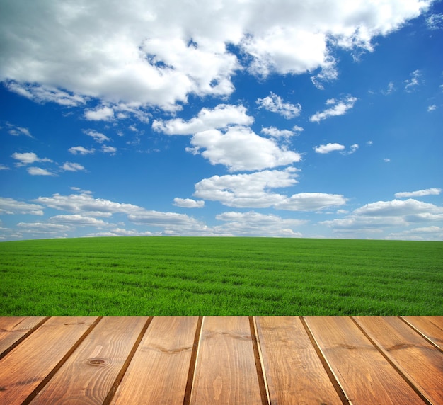 Feld unter blauem Himmel Holzbohlenboden