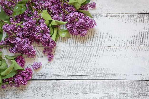 Feld von purpurroten lila Blumen mit Raum für Text auf hölzernem Brett der weißen Weinlese.