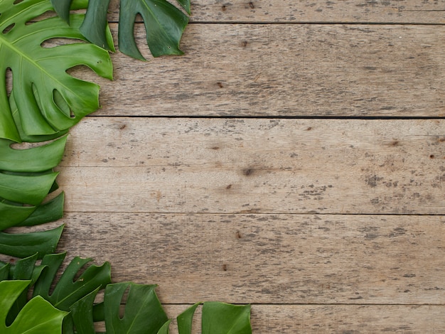 Feld von tropischen Blättern Monstera auf altem hölzernem Hintergrund. Platz für Text. flach lag, Ansicht von oben