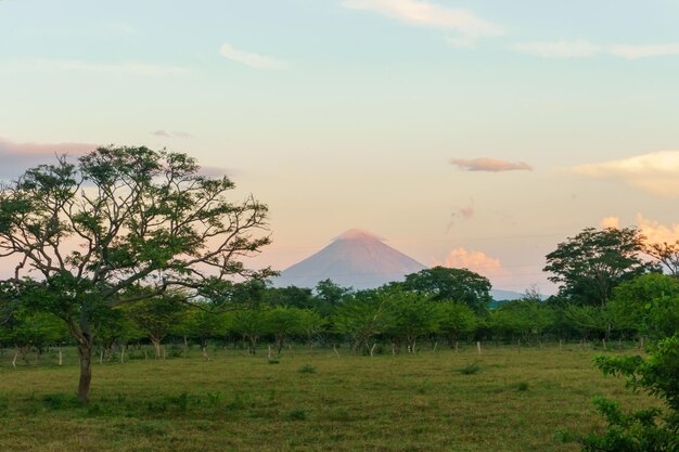 Feldansicht mit Vulkan Concepcion im Hintergrund, Nicaragua