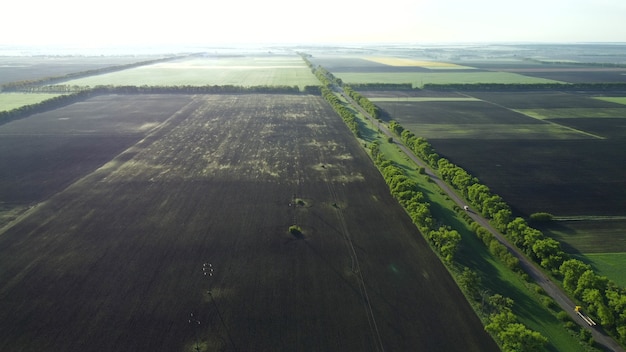 Felder am frühen Frühlingssommermorgen aus großer Höhe.