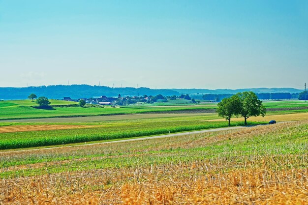 Felder im Schweizer Dorf in Yverdon-les-Bains im Bezirk Jura Nord Vaudois im Kanton Waadt, Schweiz.