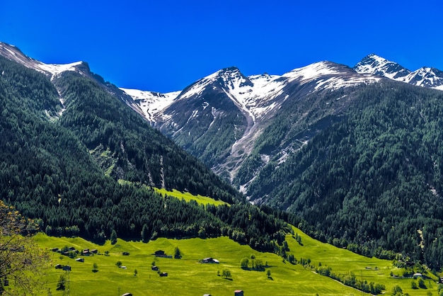 Felder mit Häusern in den Schweizer Alpen Bergen Moerel Filet Östlich Raron Schweiz