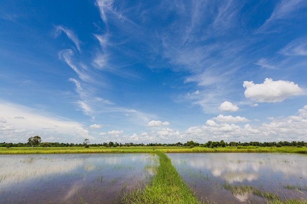 Felder und klarer Himmel mit Wolken, die auf dem Wasser reflektieren.