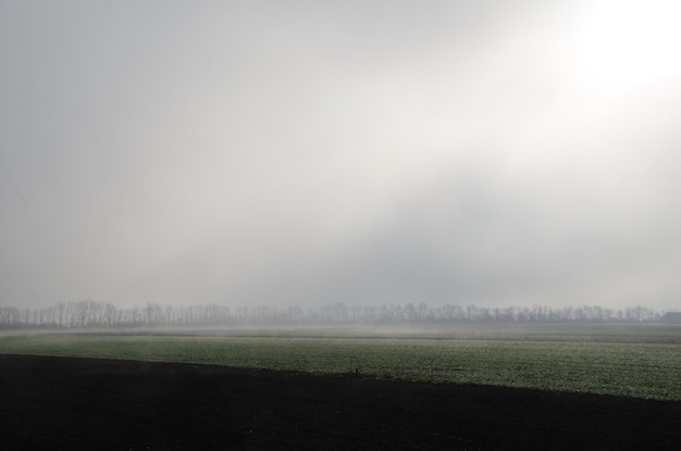 Felder und starker Nebel