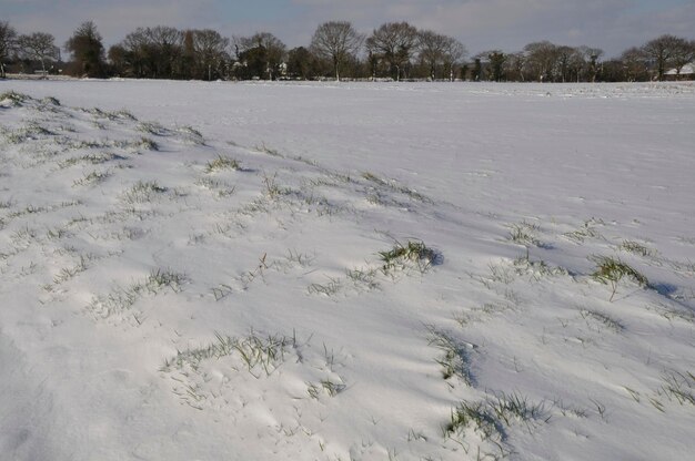 Felder unter dem Schnee in der Bretagne