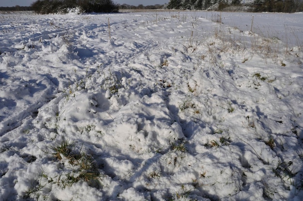 Felder unter dem Schnee in der Bretagne