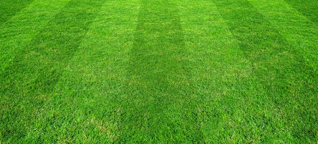 Foto feldhintergrundmuster des grünen grases für fußball- und fußballsport.