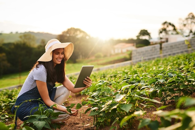 Feldlandwirtschaft und Frau mit Tablet für Pflanzen organisch und Wachstum von Gemüse im Freien und umweltfreundlich Person online und Lächeln für Wetterüberwachung für Pflanzen Landwirt und stolz auf Produkte