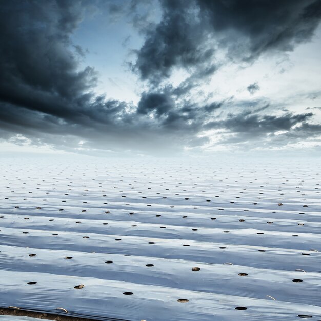 Feldlandwirtschaftsmulchfilm schützen und rainclouds