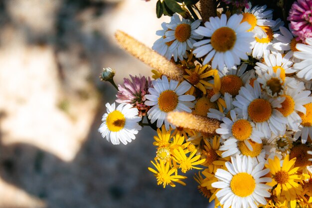 Feldstrauß von Gänseblümchen, Klee, kleinen gelben Blumen und verschiedenen Gräsern auf einem schwarzen Hintergrund