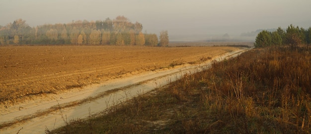 Feldweg entlang des Feldes und des Waldes am Herbstmorgen