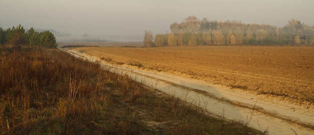 Feldweg entlang des Feldes und des Waldes am Herbstmorgen