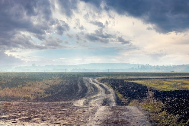 Feldweg im Herbst an einem bewölkten Tag, dunkler Regenhimmel über dem Feld