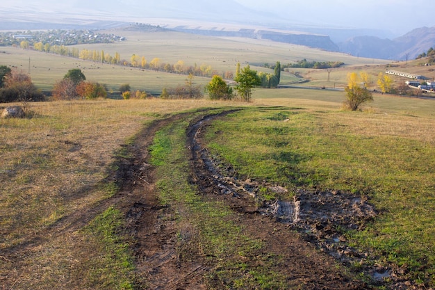 Feldweg in den Wald