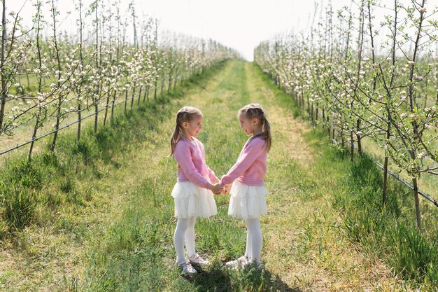 Felices hermanas gemelas se miran y se dan la mano con el telón de fondo de un huerto de manzanos en flor verde.