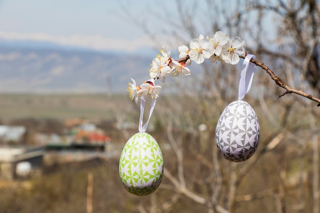 Felices huevos coloridos de Pascua y flor de árbol de primavera