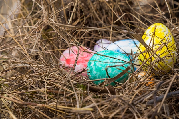 Felices huevos coloridos de Pascua en el nido