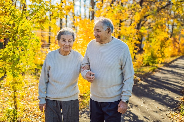 Felices jubilados en el bosque de otoño. concepto de familia, edad, temporada y personas - feliz pareja de ancianos caminando sobre el fondo de los árboles de otoño.